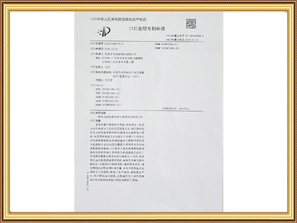 发明专利申请